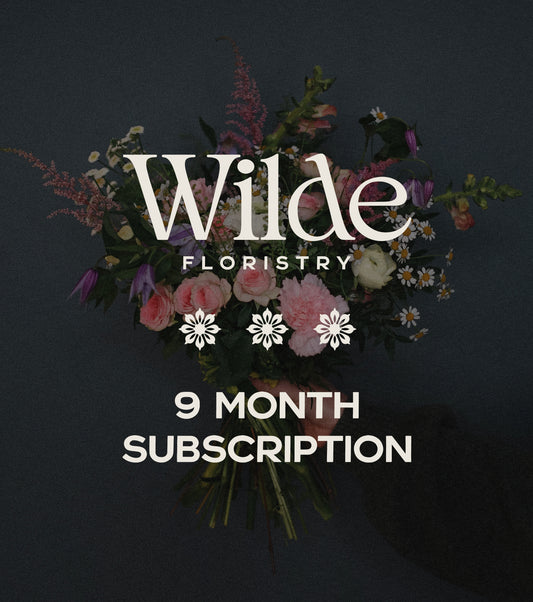 9 Month Subscription
