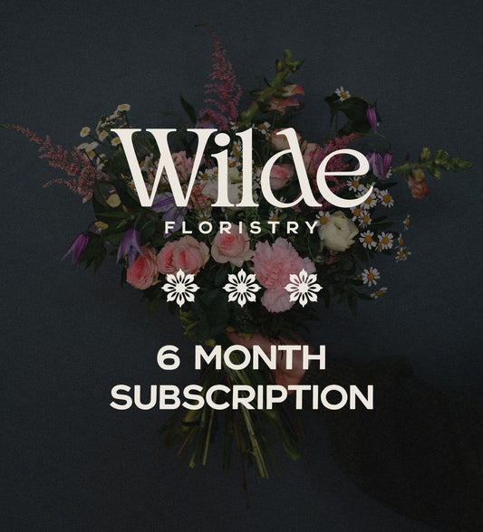 6 Month Subscription